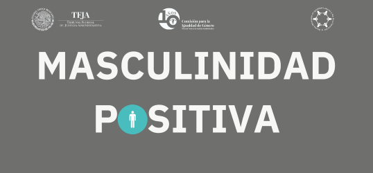 Masculinidad positiva 