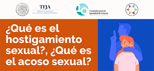 Infografía