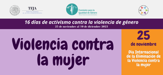 Violencia contra la mujer  